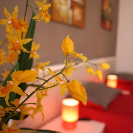 Bed and Breakfast Campi Elisi