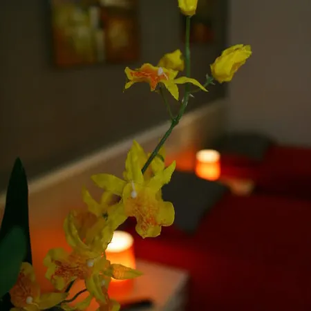 Bed & Breakfast Campi Elisi Syrakusa