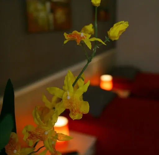 Bed & Breakfast Campi Elisi Syracuse