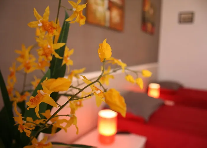 Bed & Breakfast Campi Elisi